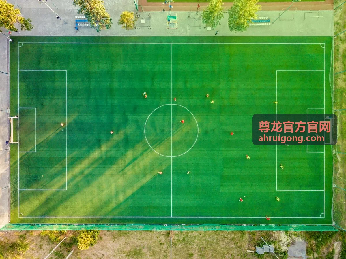 尊龙官方官网客户案例场景背景图